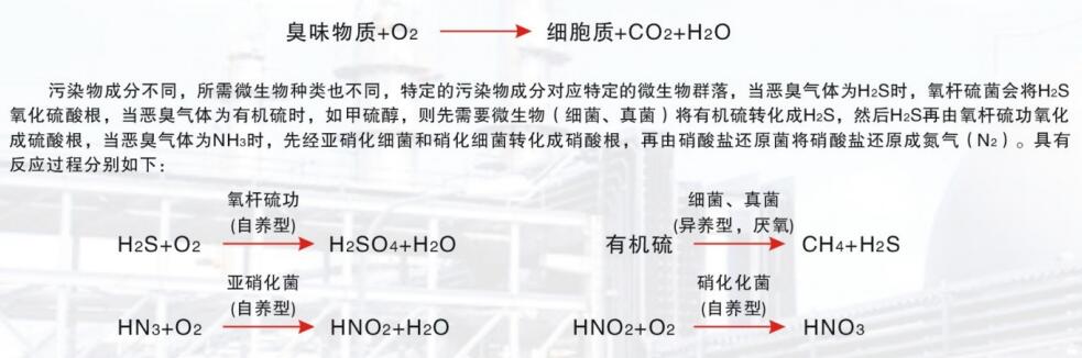 技术原理.jpg